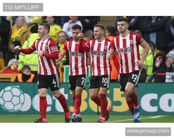 水晶宫与斯托克城队员配置全面分析及对比探讨